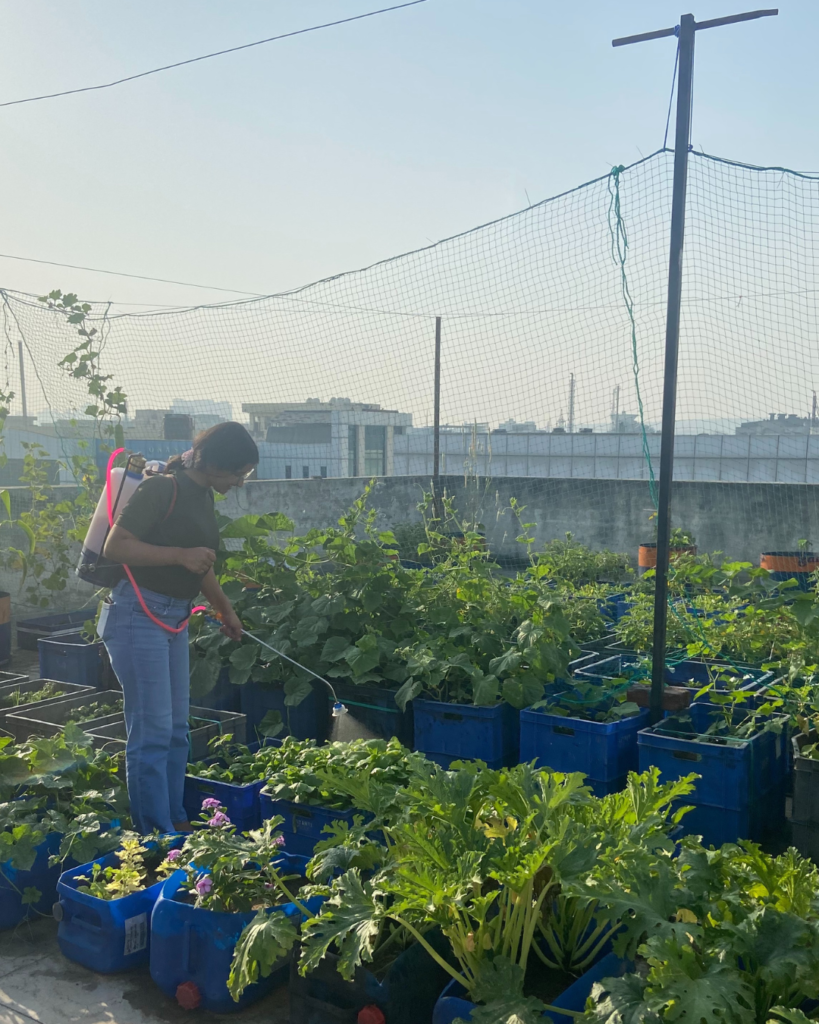 Terrace farming